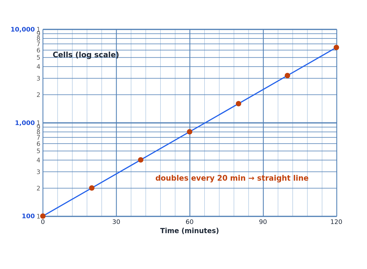 A culture that doubles every 20 minutes, from 100 to 6,400 cells in two hours, plotted on two-cycle semi-log paper: the points fall on a straight line.